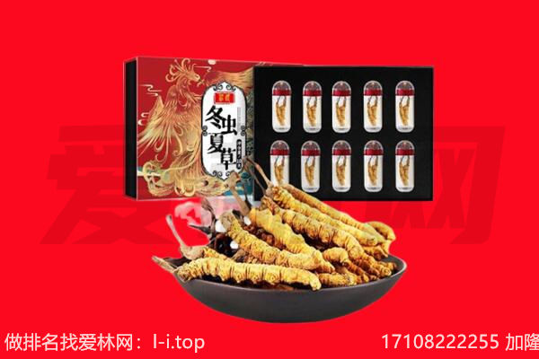 海口市回收虫草.jpg